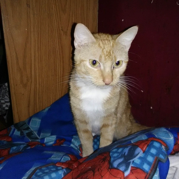 Meet your Posher, Jessica - Picture 10 of 14